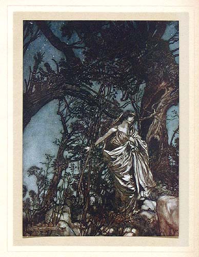 Original Antique Arthur Rackham Prints for Sale