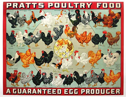 Pratts Poultry Food