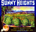 F104: Sunny Heights