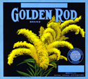 F131: Golden Rod