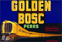 F48: Golden Bosc