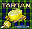 F77: Tartan