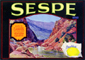 F82: Sespe